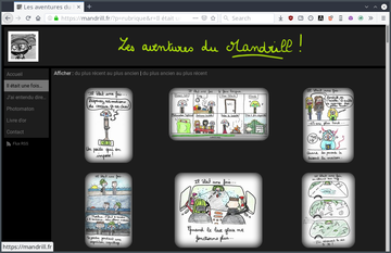 A screenshot of mandrill.fr